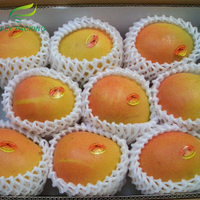 //ilrorwxhkjlolp5p.ldycdn.com/cloud/mjBpqKpnRljSplomrolkl/China-Cheap-Fruit-and-Vegetable-Foam-Sock-Packaging-Net.jpg