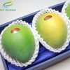 Foam Sleeve Net for Fruit Protective Packaging