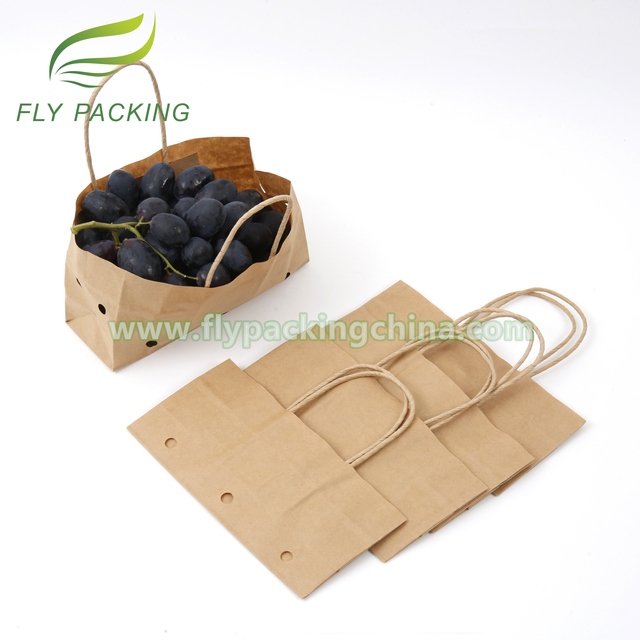 Wet Strength Kraft Fruit Paper Bags