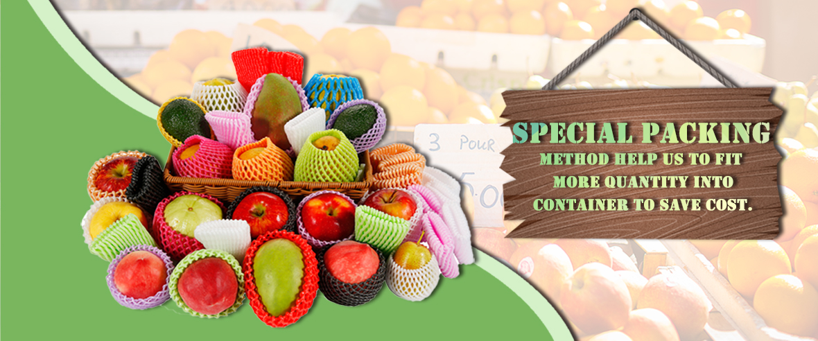 Fruit Protective Packaging