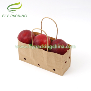 Paper Bags With Hole With Handle
