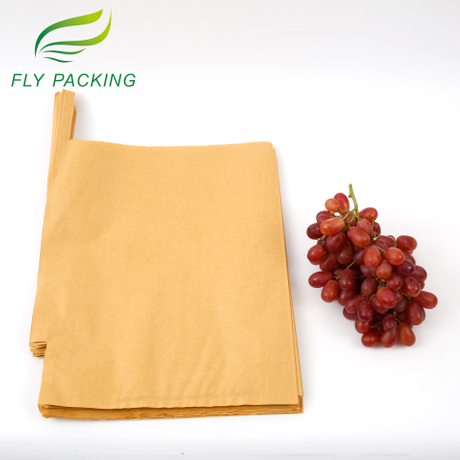 1 grape growing bag.jpg